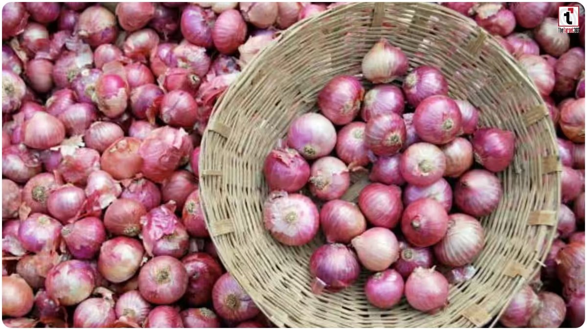 Onion Price Today