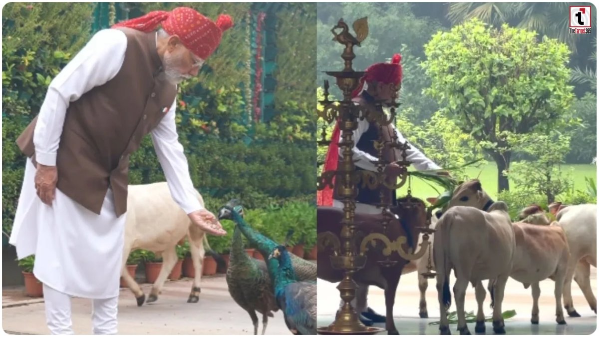 PM Modi Video