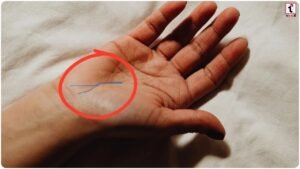 Palmistry Y Sign