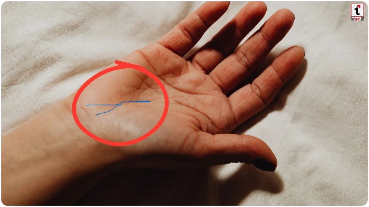 Palmistry Y Sign