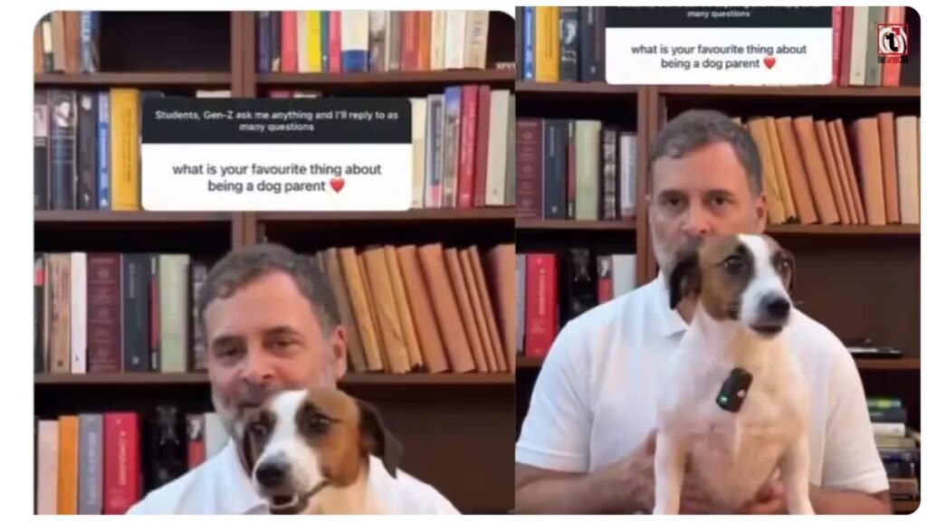 Rahul Gandhi Video: राहुल गांधी और नूरी का वीडियो वायरल, हर जीव के सम्मान का दिया संदेश