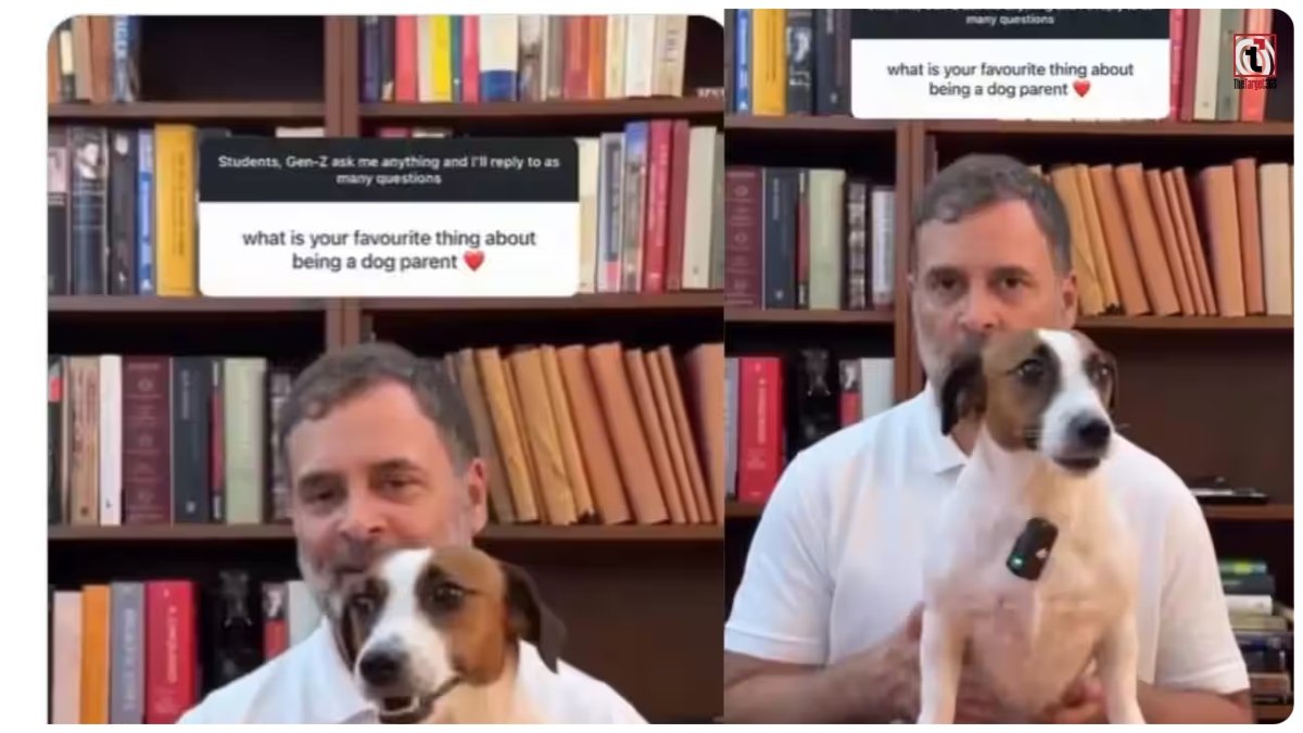 Rahul Gandhi Video