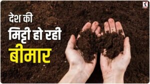 Soil Nitrogen