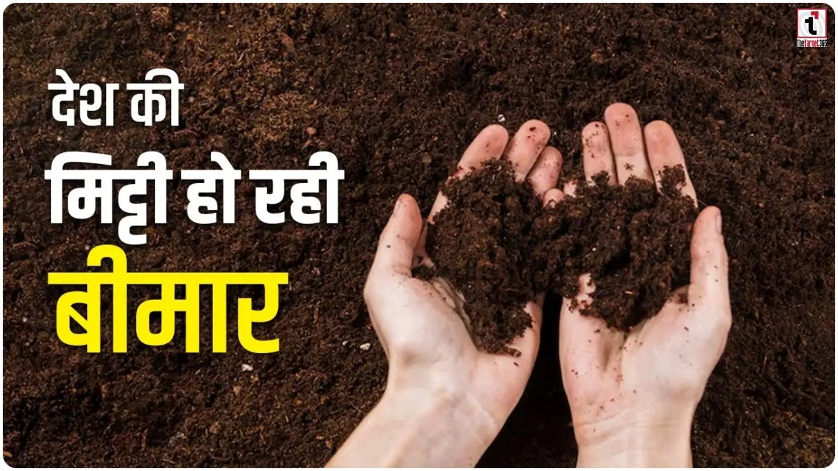 Soil Nitrogen
