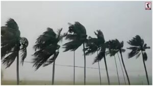 Today Weather