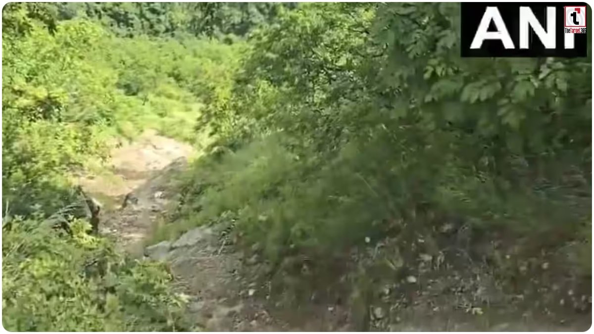 Uttarakhand Accident