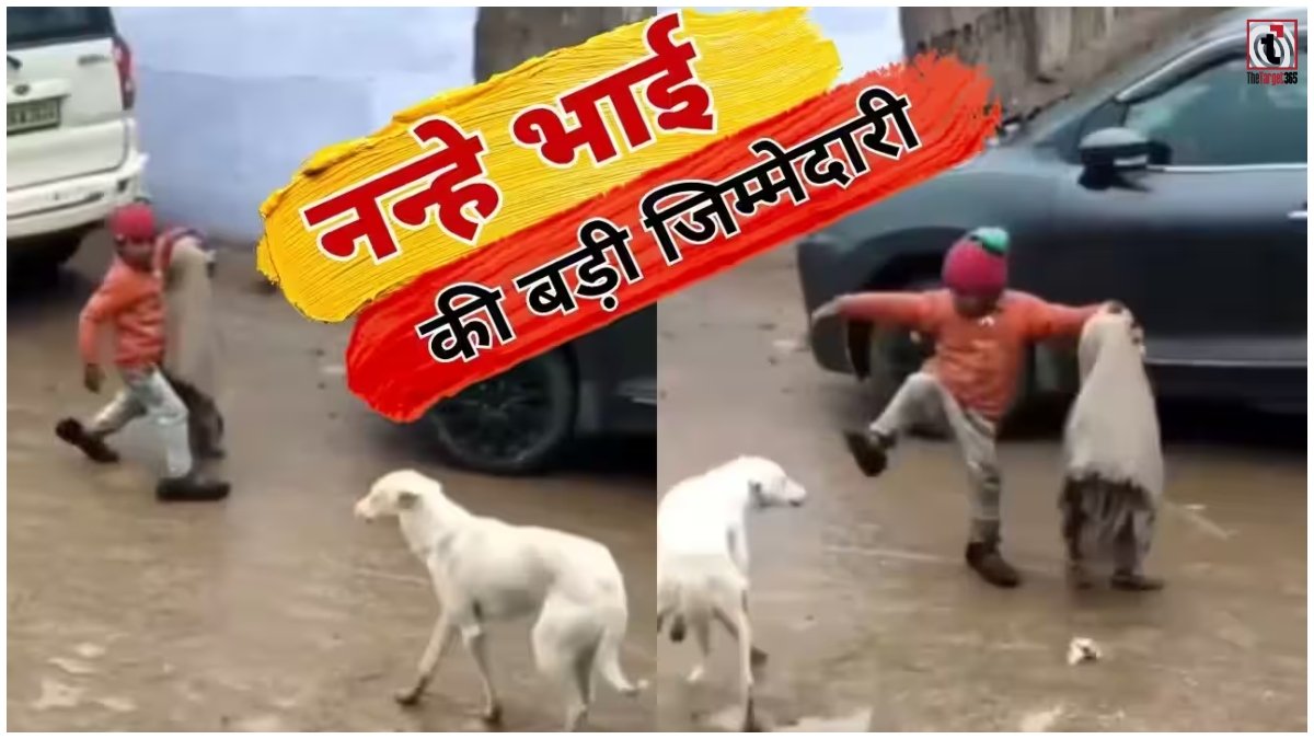 Viral Video