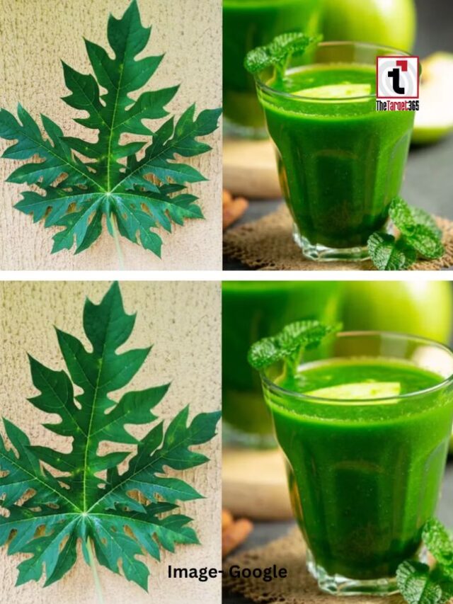 पपीते के पत्ते का जूस क्यों है चर्चा में?
