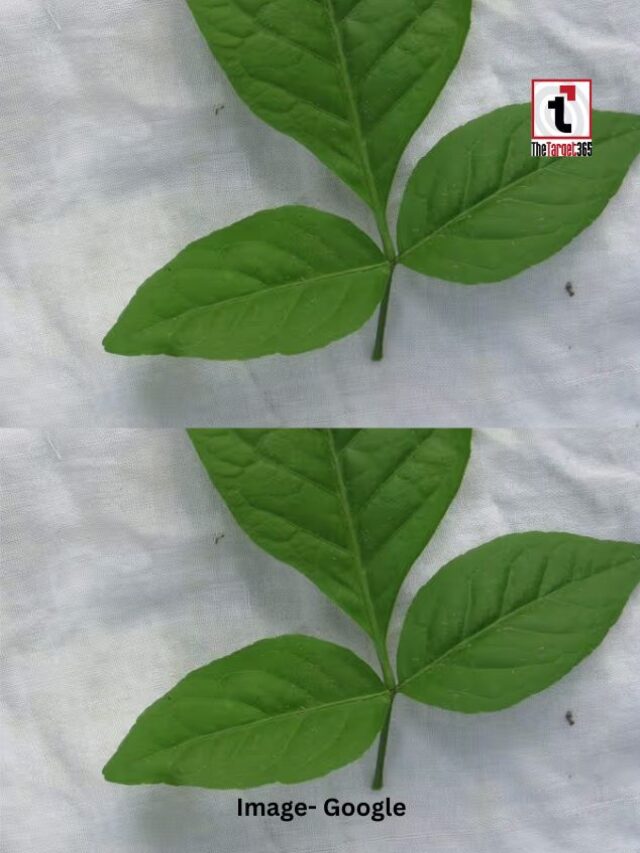 सावन में बेलपत्र चढ़ाने से क्या होता है?