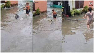 Bangkok Flood: बाढ़ में ‘गलियों का राजा’ बना मगरमच्छ, घरों के बाहर तैरता दिखा खौफनाक VIDEO
