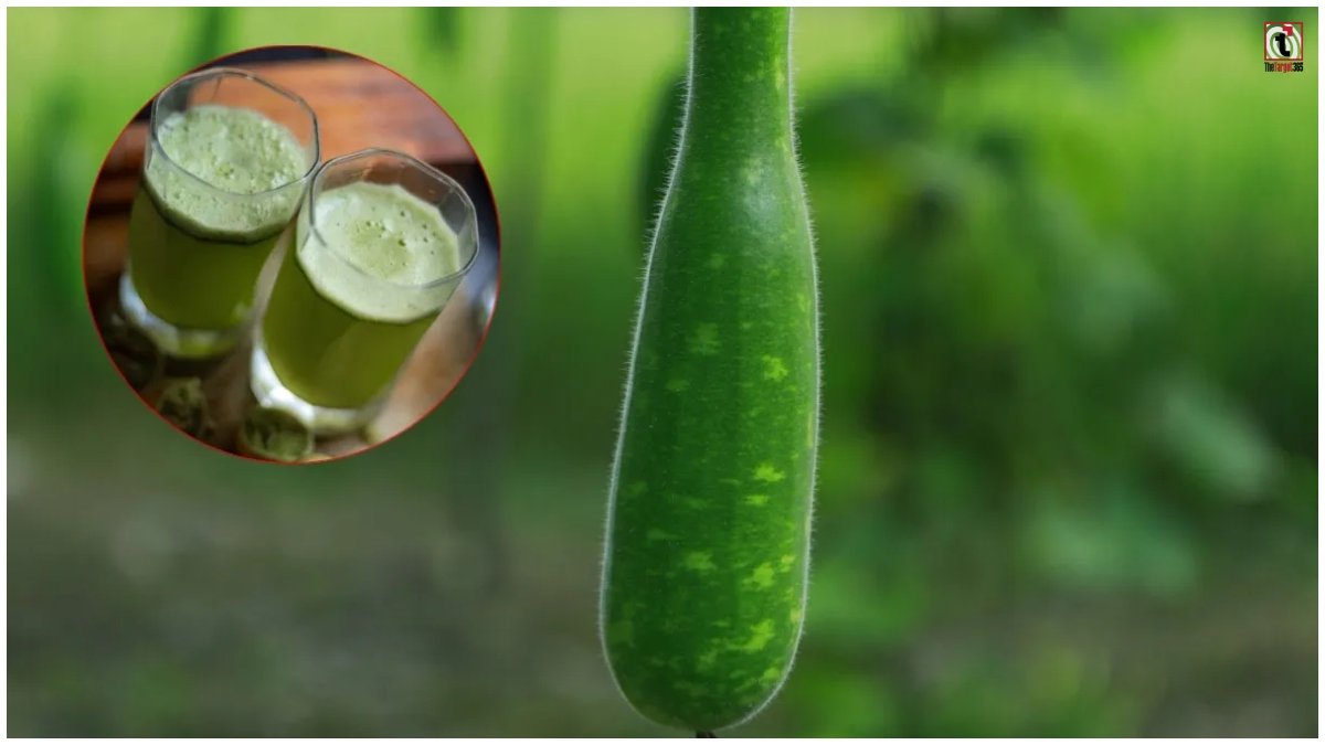 Bottle Gourd Juice