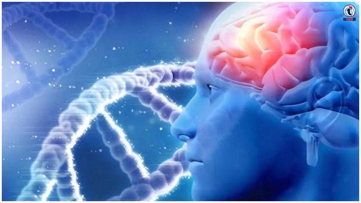 Brain Injury Prevention