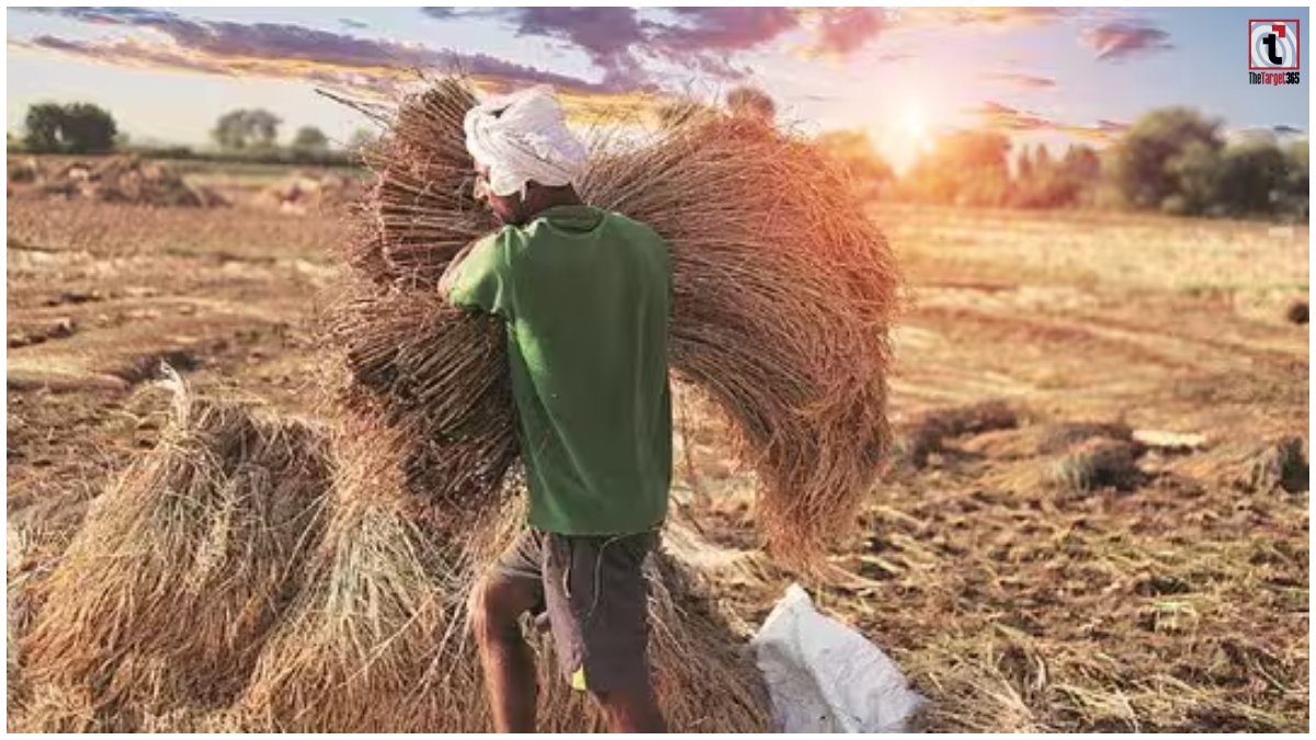 CG Agriculture