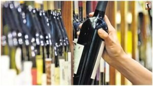 CG Excise SI Suspended