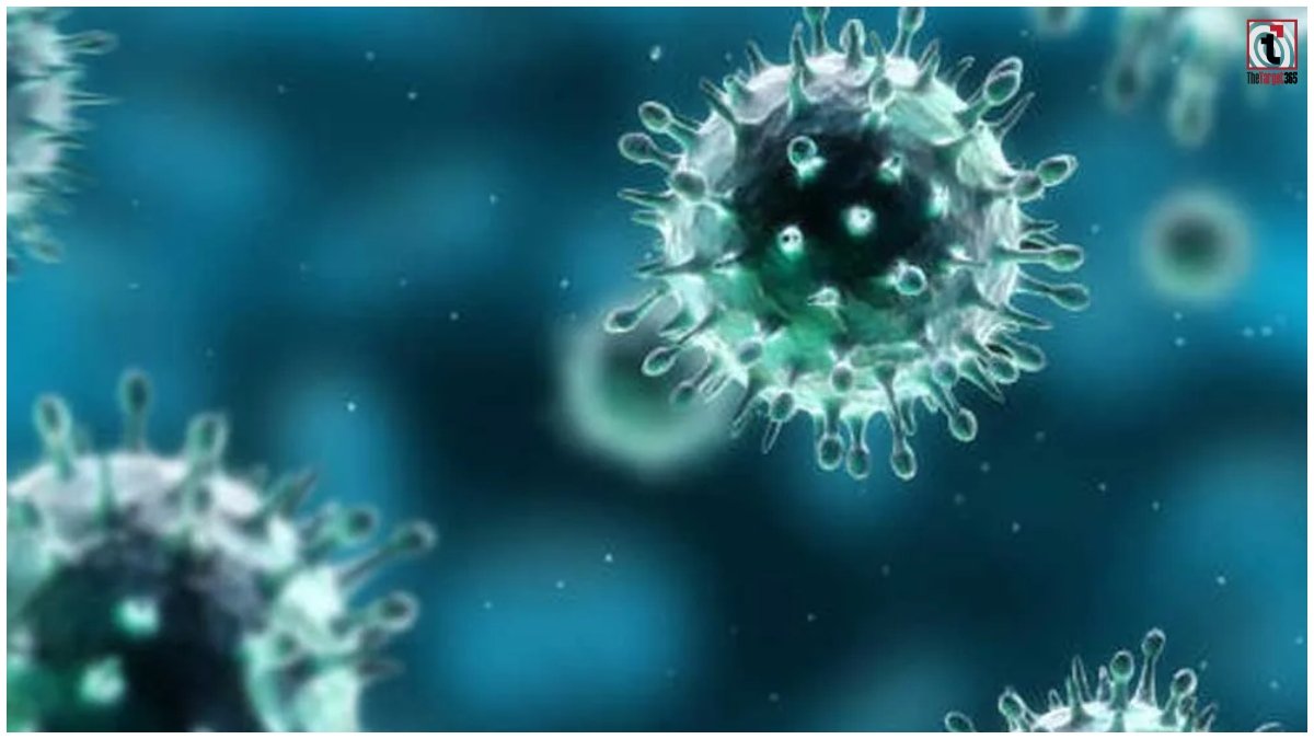 Chhattisgarh Swine Flu