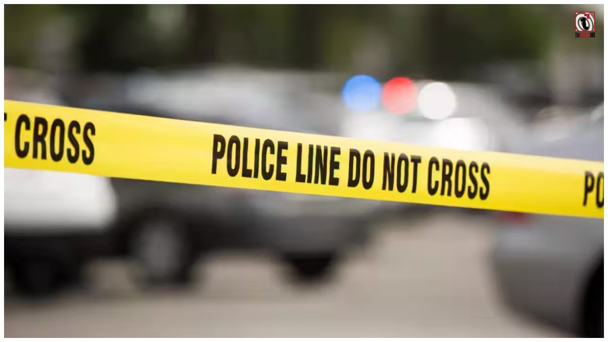 California Murder