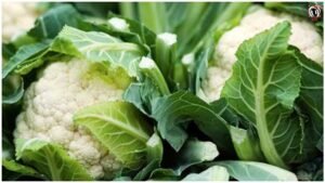Cauliflower Farming