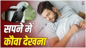 Crow in Dream