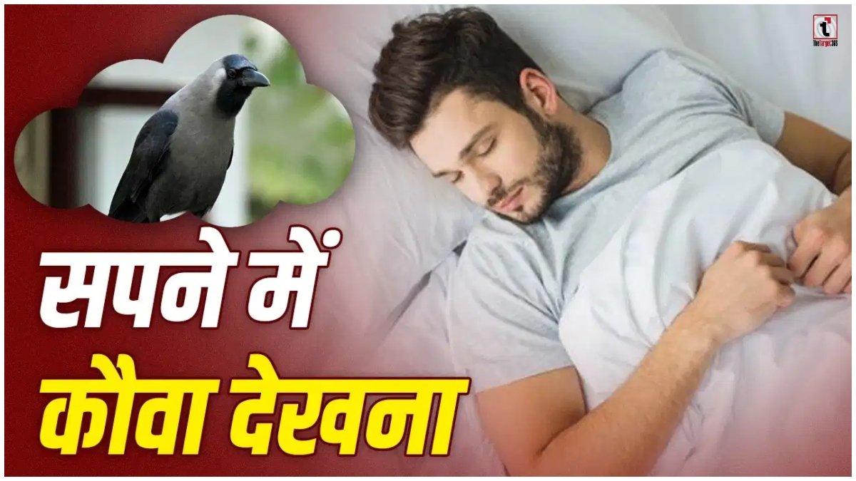 Crow in Dream