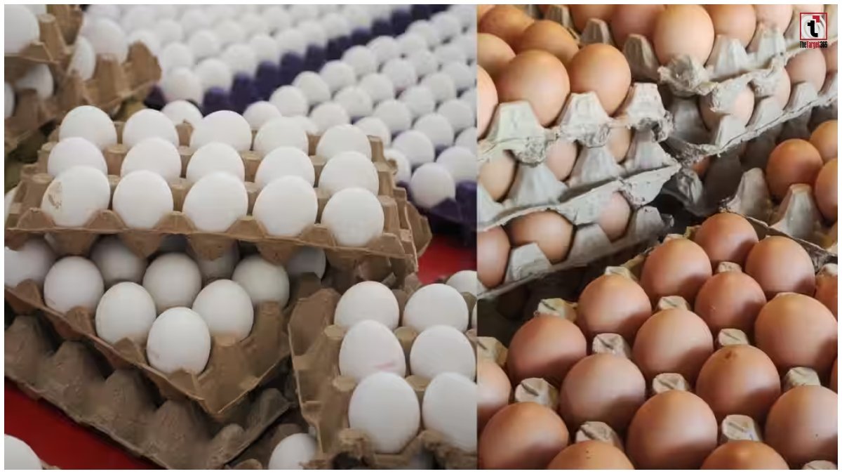 Egg Price Hike