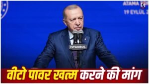 Erdogan on UN Veto