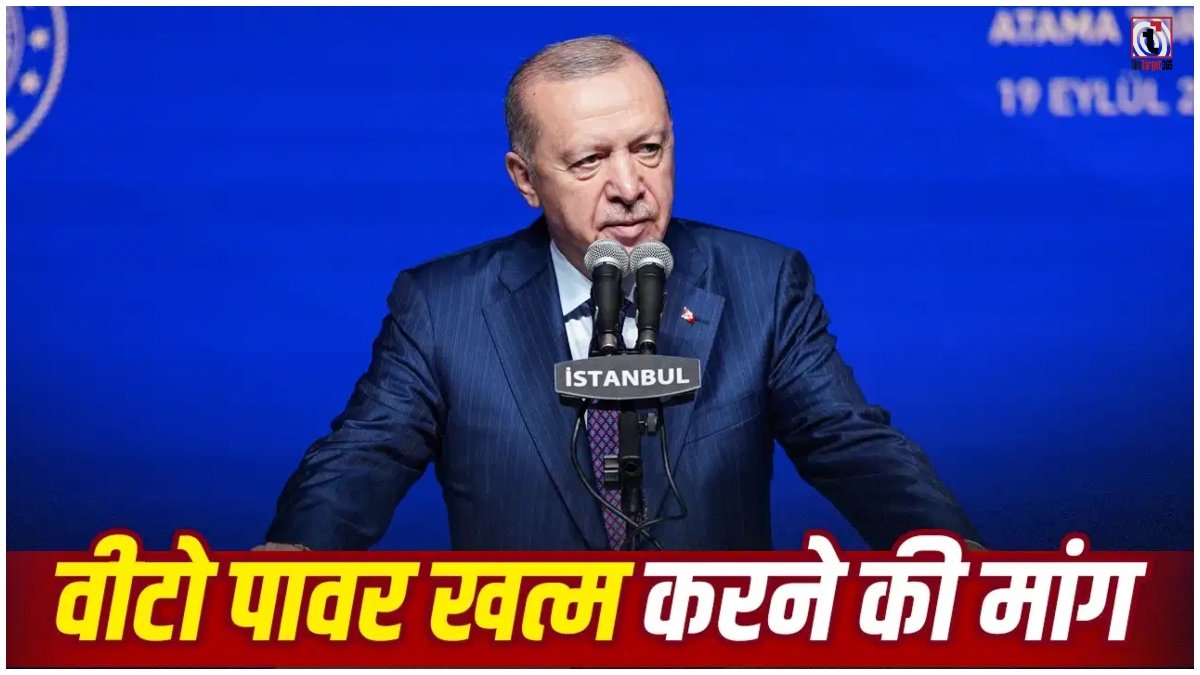 Erdogan on UN Veto