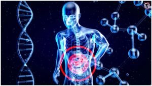 Fatty Liver Reversal