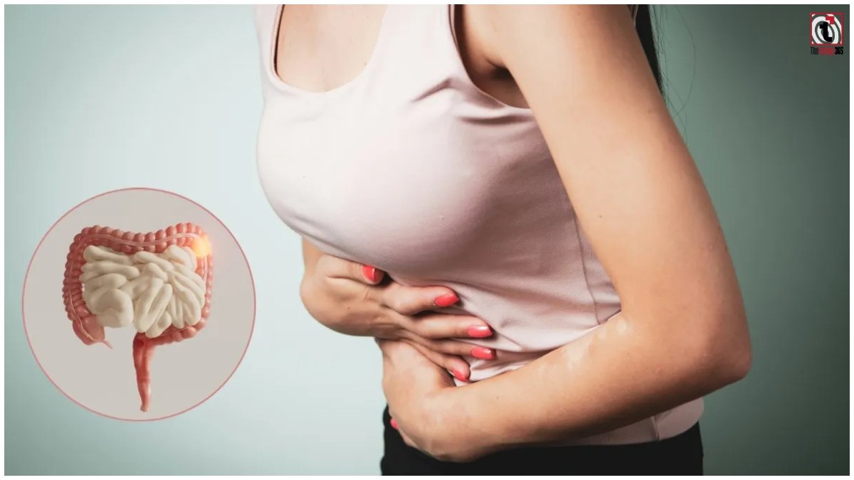 Gut Health Foods