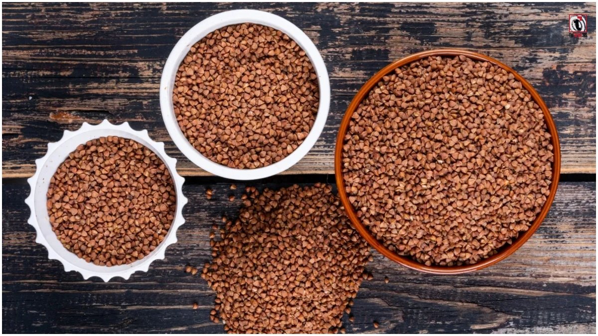 Halim Seeds: