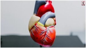 Heart Health