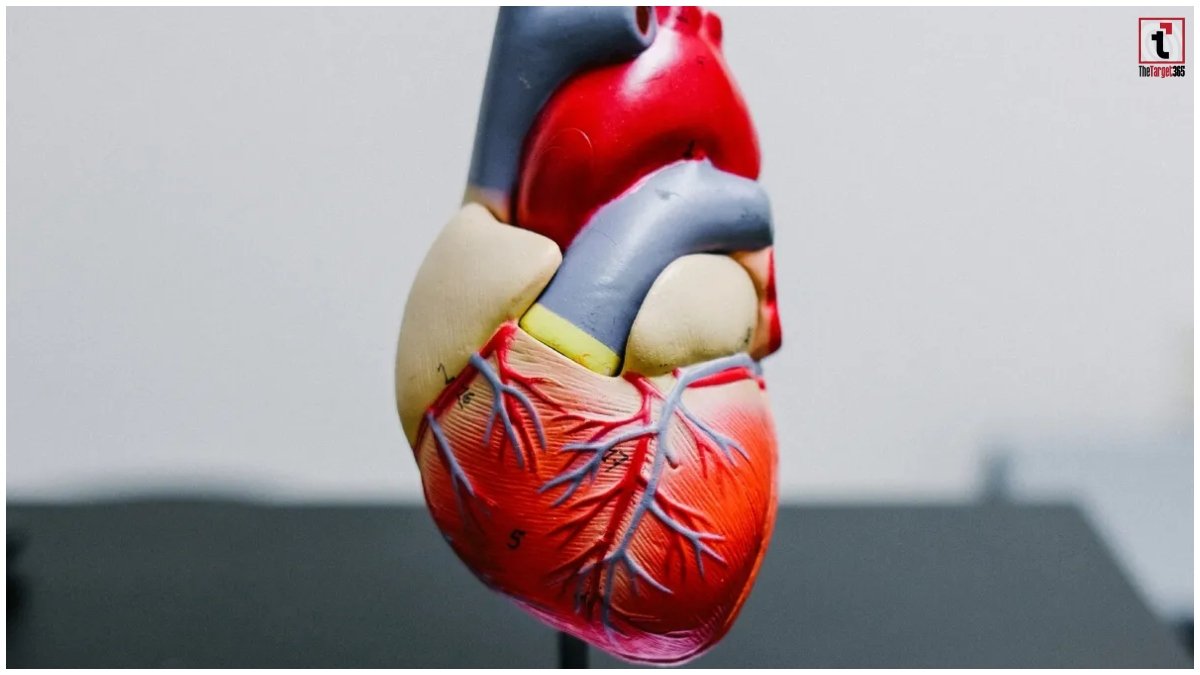 Heart Health