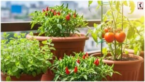 Home Gardening