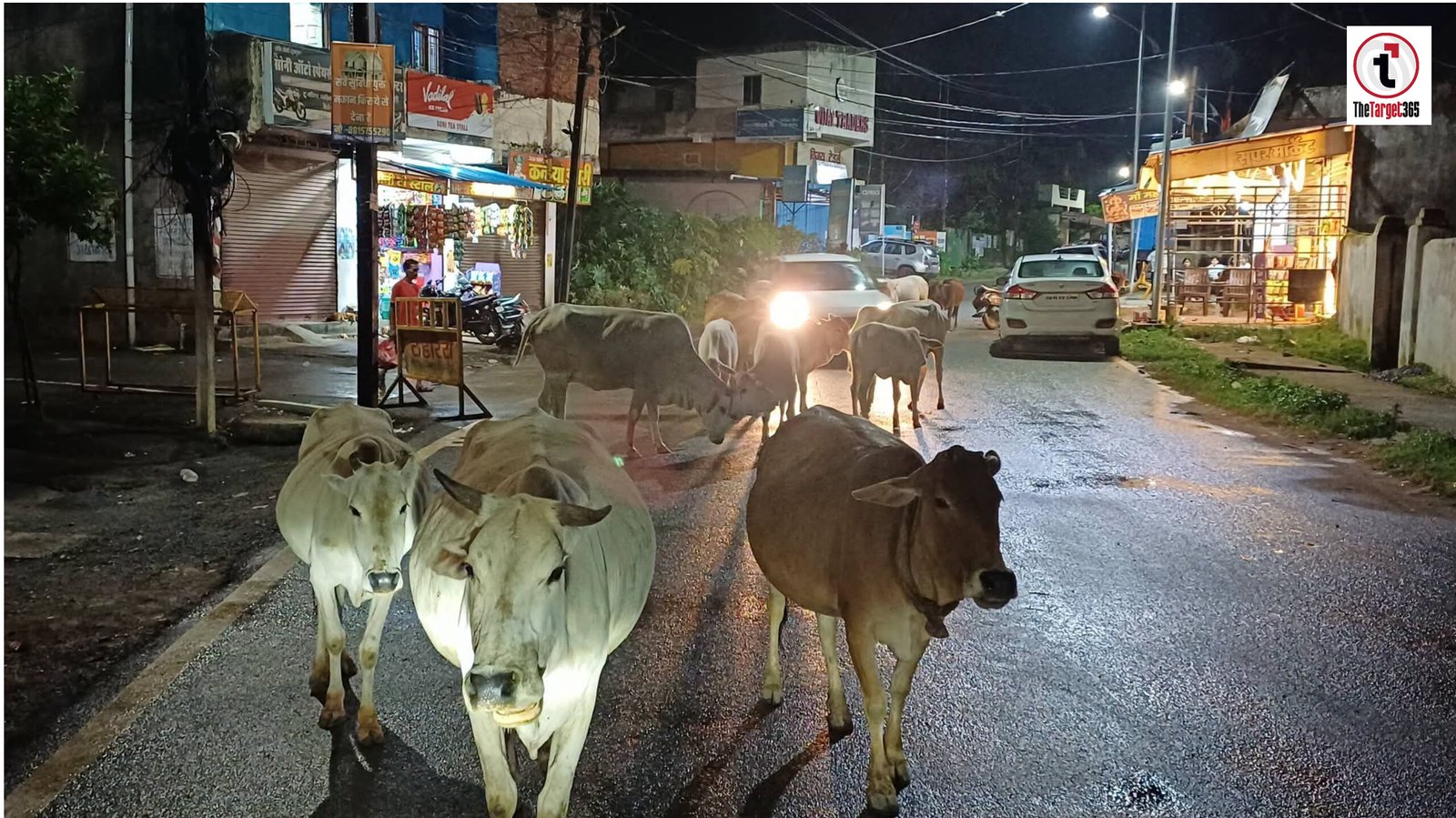 CG News : गौधाम खाली, सड़कें भरीं! सरकार ने आवारा मवेशियों पर कसी लगाम, फिर निकला आदेश