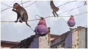 Janmashtami Viral Video