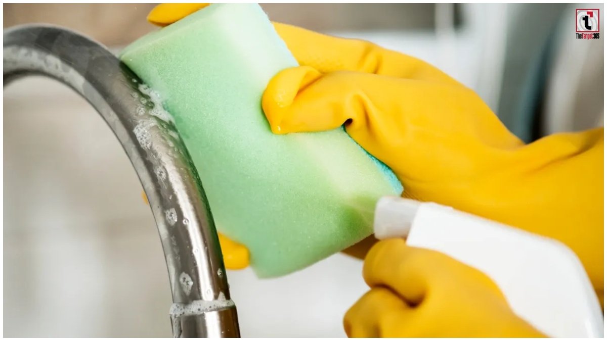 Kitchen Sponge Bacteria