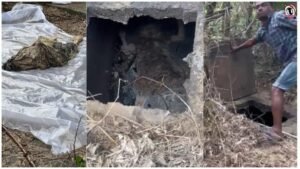 Korba Murder