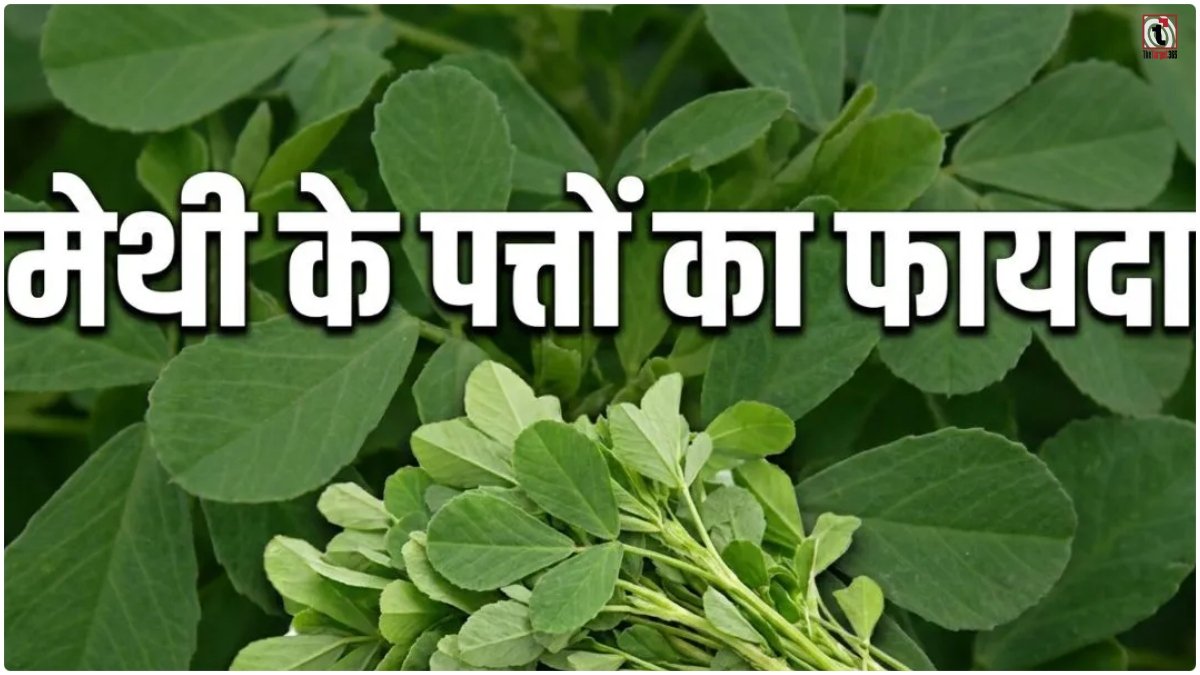 Methi Leaves Benefits
