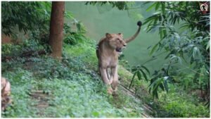 Nandankanan Zoo