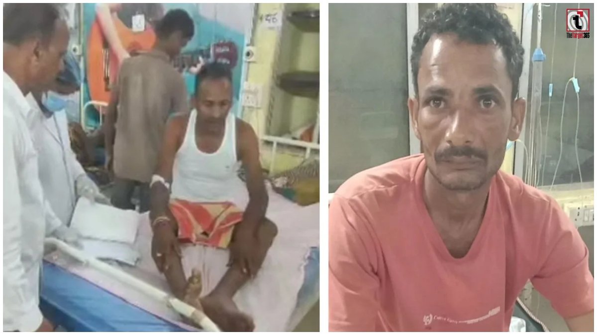 Surguja Bee Attack