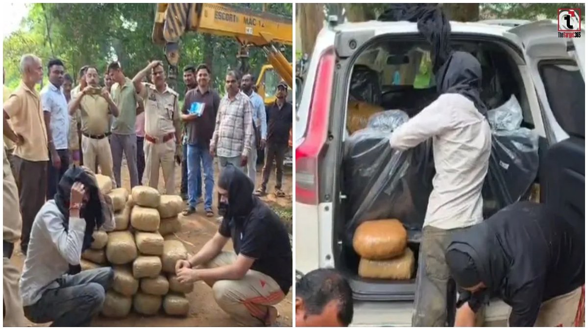 Surguja Hemp Smuggling