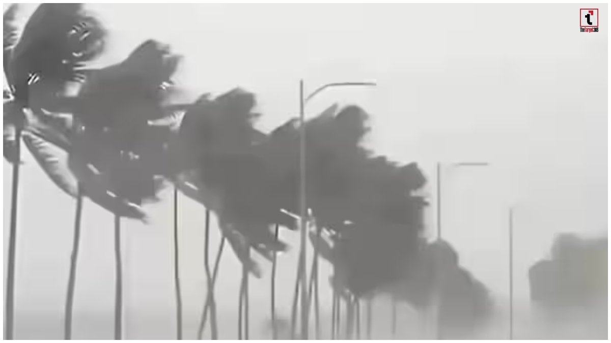 Today Weather