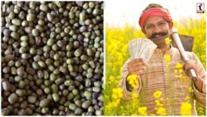 Urad MSP 2026