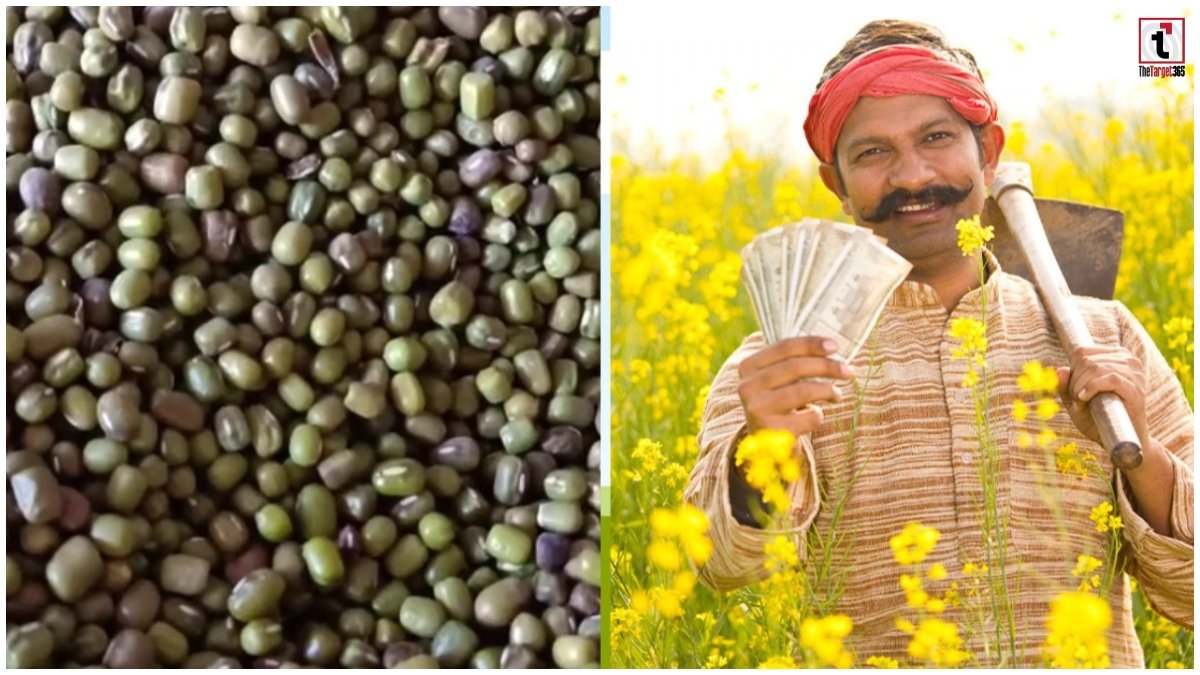 Urad MSP 2026