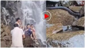 Waterfall Snake Video