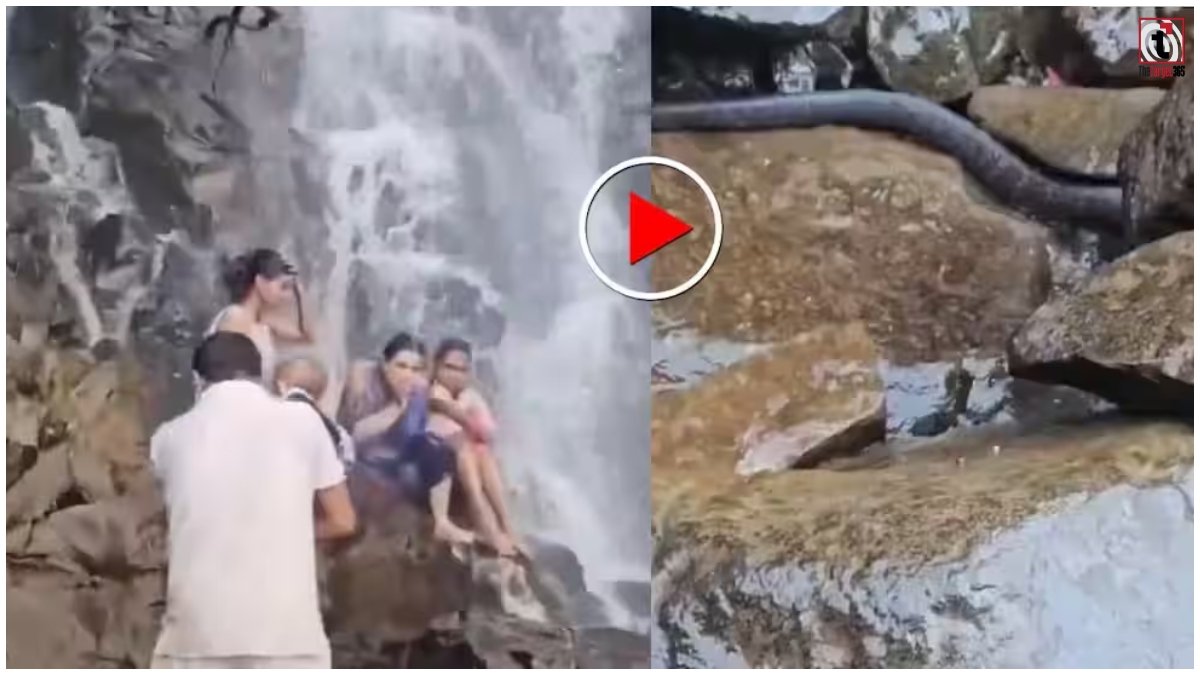 Waterfall Snake Video