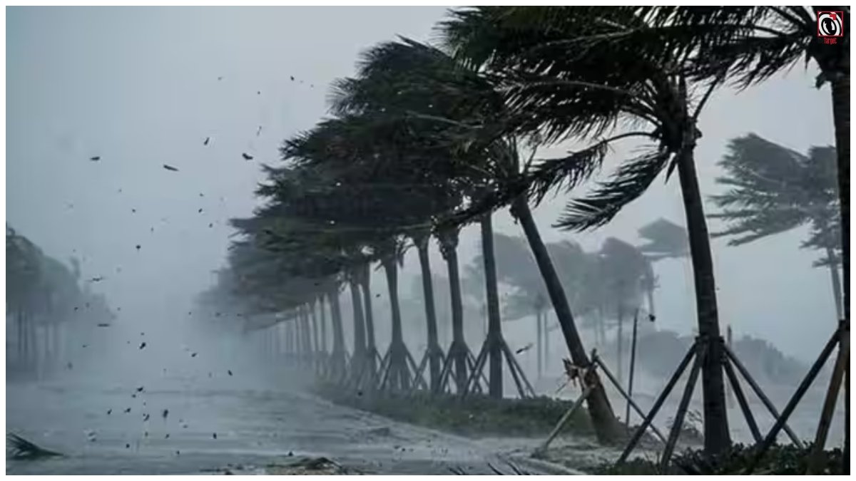Weather Today