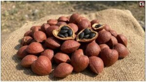 Wild Almond