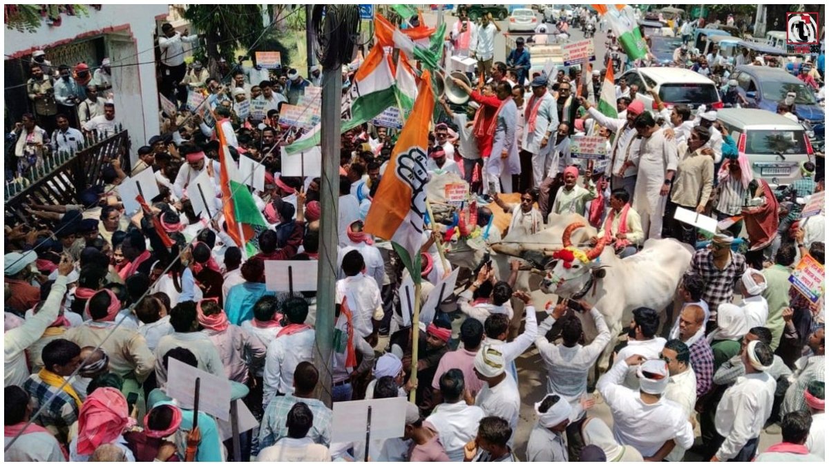Bilaspur Congress Protest