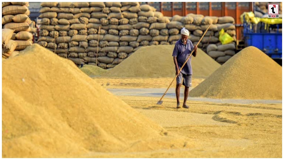 Chhattisgarh Paddy Procurement