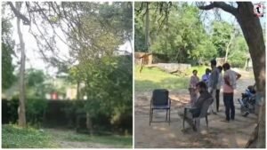 Child Swing Accident